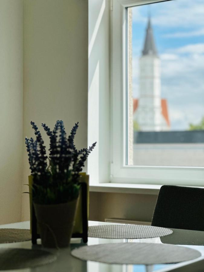 Butas Paciame Siauliu Miesto Centre Lejlighed Šiauliai Eksteriør billede